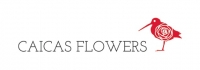 39018_caicas_flowers_logo_horizontal_res_alta_1516206102.jpeg